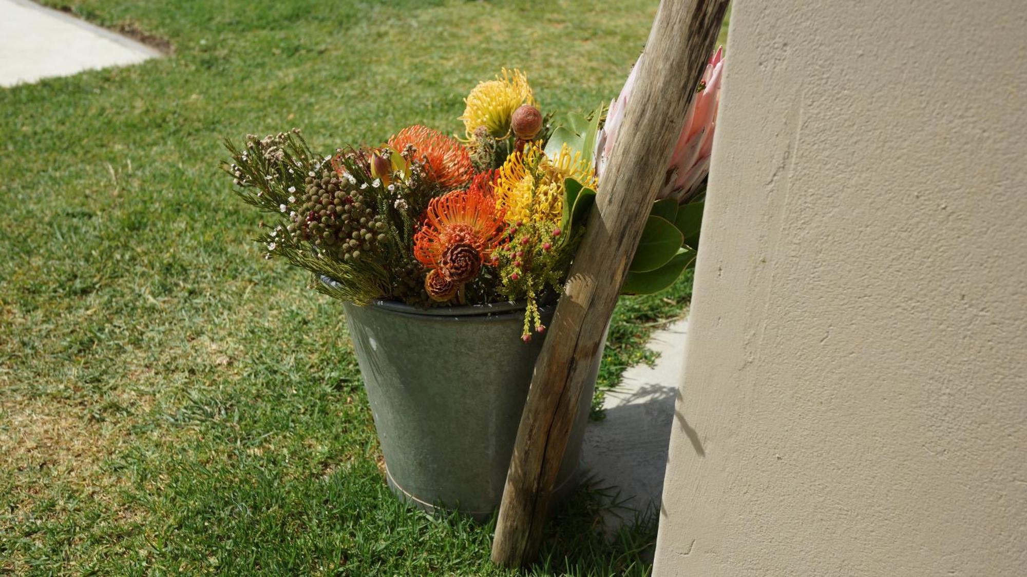 Stellar Overberg Travellers Lodge Napier Eksteriør billede