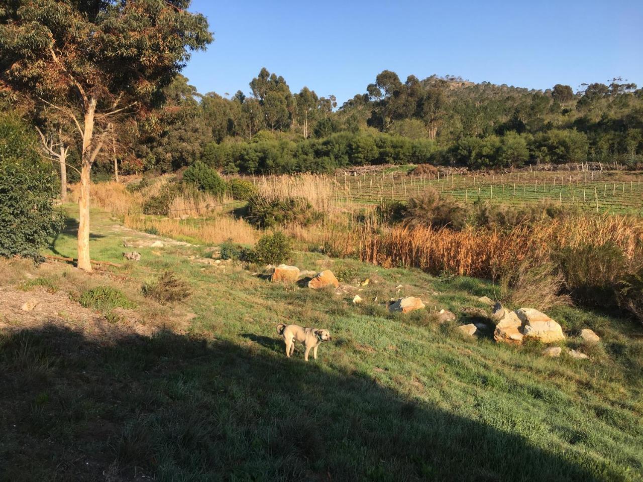 Stellar Overberg Travellers Lodge Napier Eksteriør billede