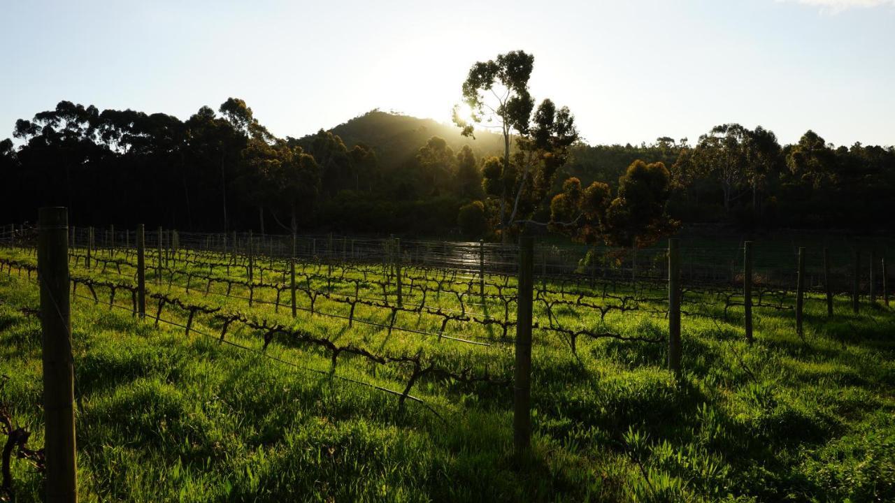 Stellar Overberg Travellers Lodge Napier Eksteriør billede