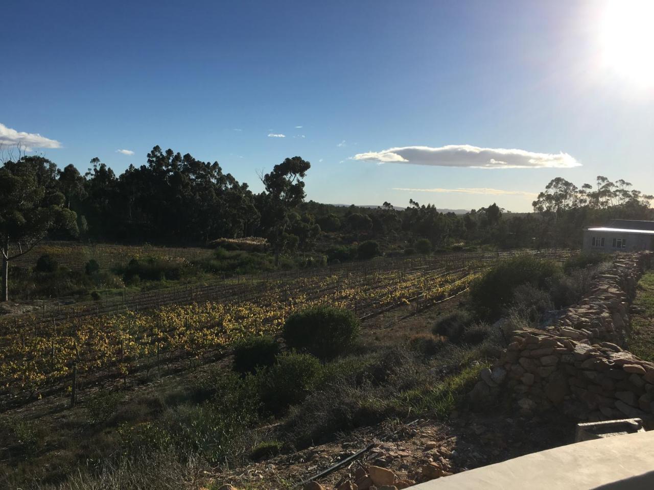 Stellar Overberg Travellers Lodge Napier Eksteriør billede