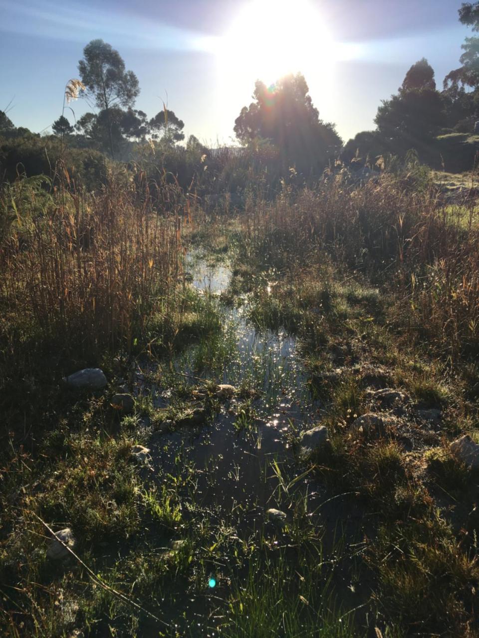 Stellar Overberg Travellers Lodge Napier Eksteriør billede