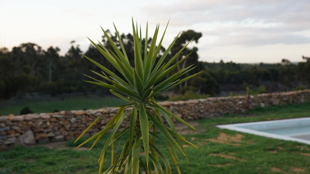 Stellar Overberg Travellers Lodge Napier Eksteriør billede