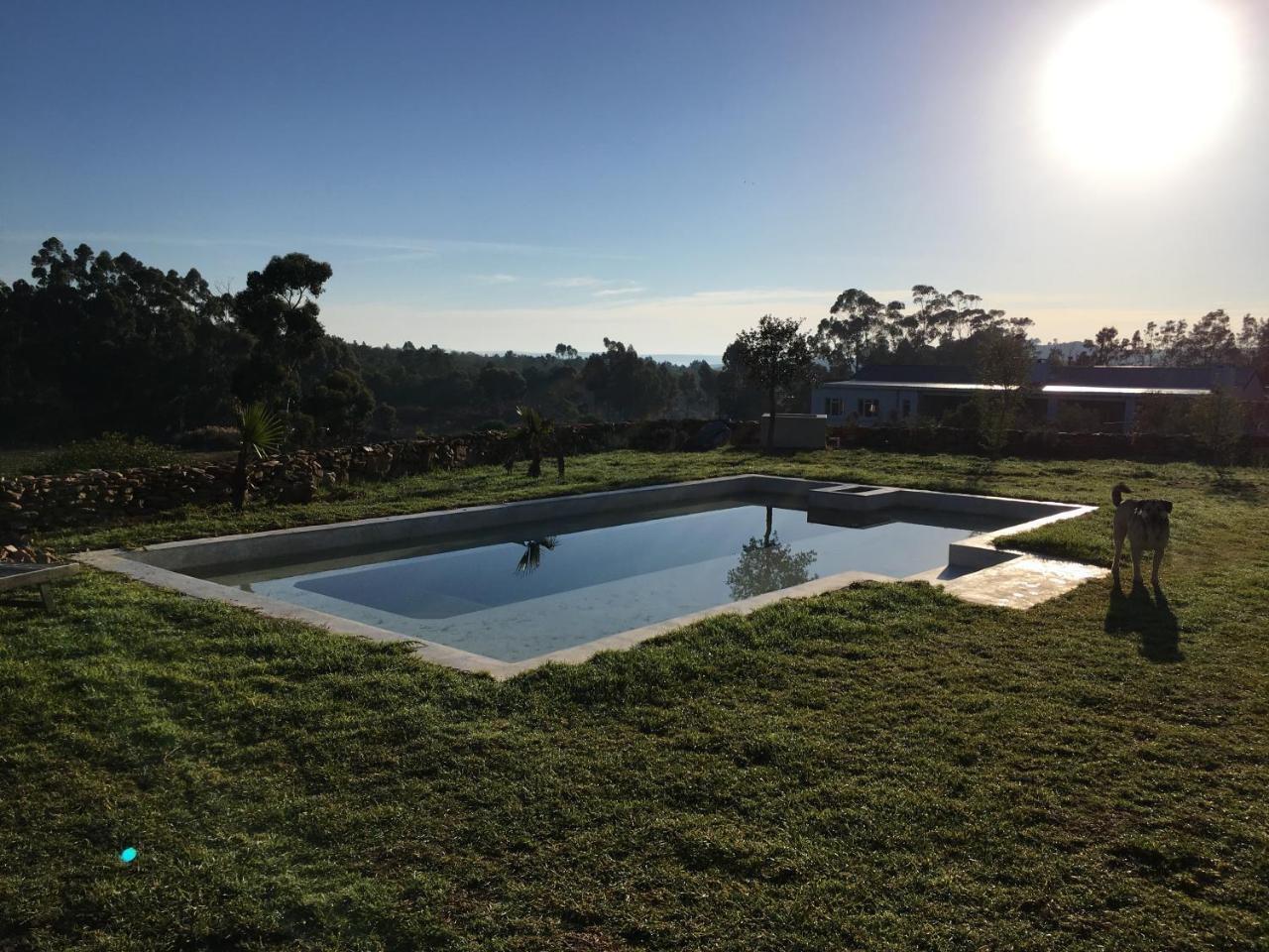Stellar Overberg Travellers Lodge Napier Eksteriør billede