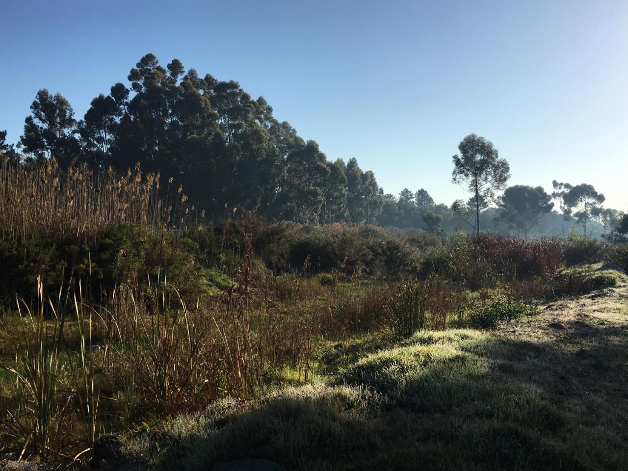 Stellar Overberg Travellers Lodge Napier Eksteriør billede
